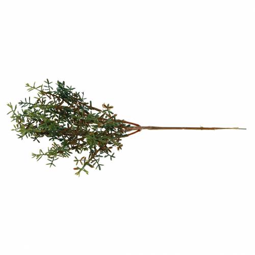 Floristik24 Timjanplocka konstgrönt 26cm 6st
