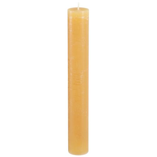 Floristik24 Koniska ljus enfärgade ljus honung 34x240mm 4 st