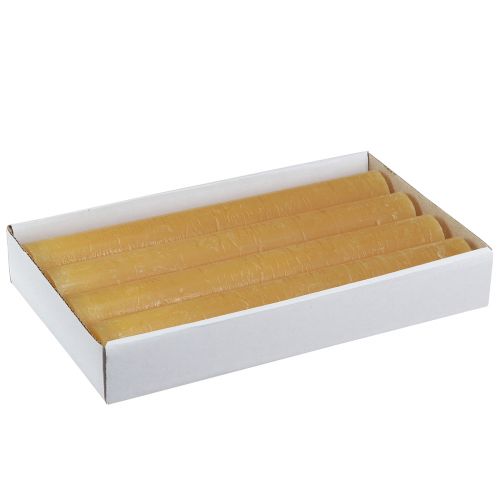 Floristik24 Koniska ljus enfärgade ljus honung 34x240mm 4 st