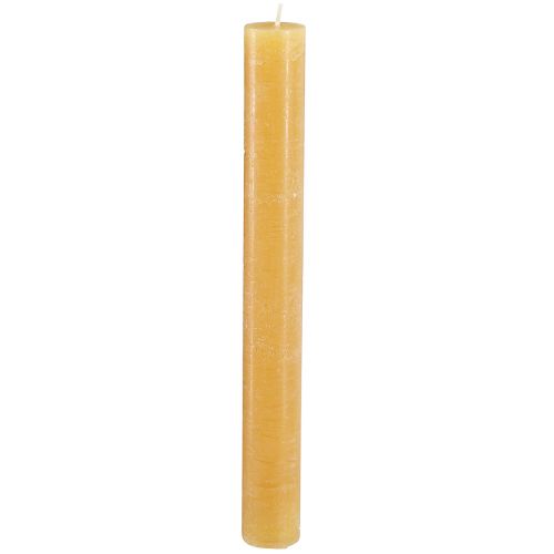 Floristik24 Koniska ljus enfärgad honung 34x300mm 4 st