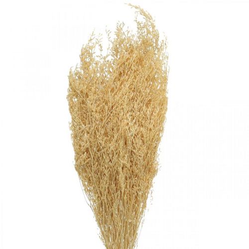 Floristik24 Torkad Sea Lavender Cream Statice Dry Deco 100g