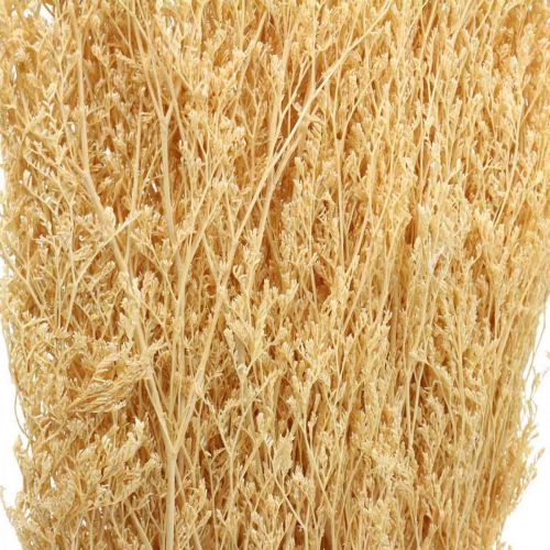 Floristik24 Torkad Sea Lavender Cream Statice Dry Deco 100g