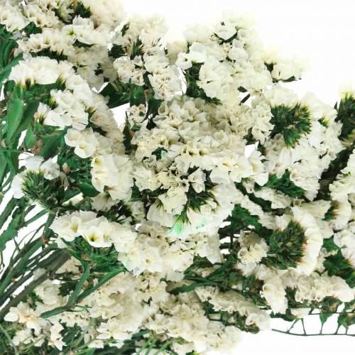 Floristik24 Massa torkade blommor havslavendelvit 40–55cm 120g