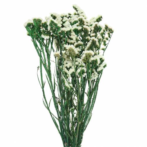 Floristik24 Massa torkade blommor havslavendelvit 40–55cm 120g
