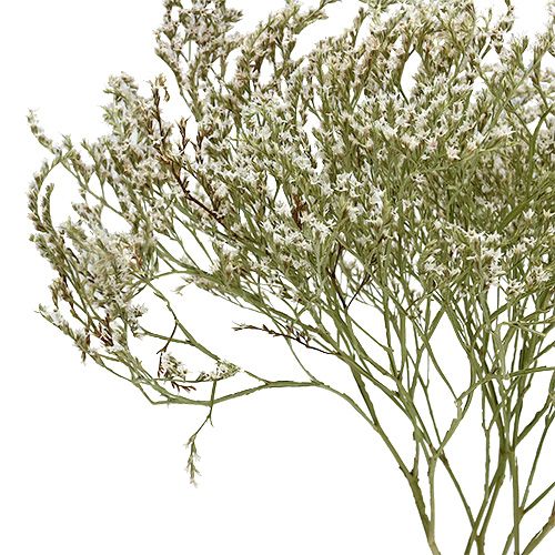 Artikel Havslavendel Statice Tatarica torkade blommor naturliga 2kg