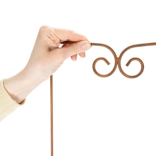 Artikel Spaljé, klätterhjälpmedel, böjt dekorelement för rabatter och växtkrukor, 75 cm
