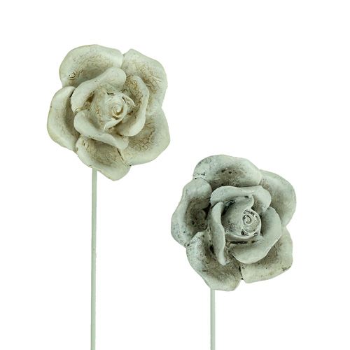 Floristik24 Pluggrosor blandade. Ø5,5cm L19cm 4 st