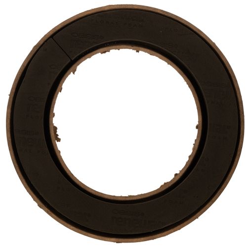 Blommig skumring OASIS® Renewal® Blommig skum Biolit® 45 cm 2 st köpa | Floristik24.se
