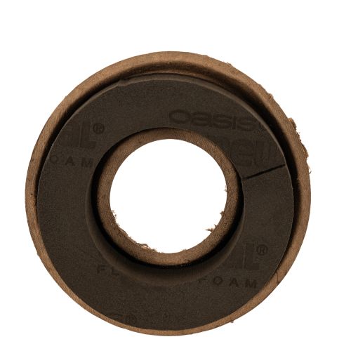 Blommig skumring OASIS® Renewal® Blommig skumring Biolit® 17 cm 2 st köpa | Floristik24.se