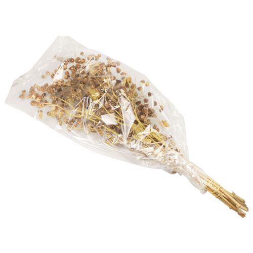Artikel Torkade blommor dekoration dekorativa grenar Stefani gren 95cm 200g