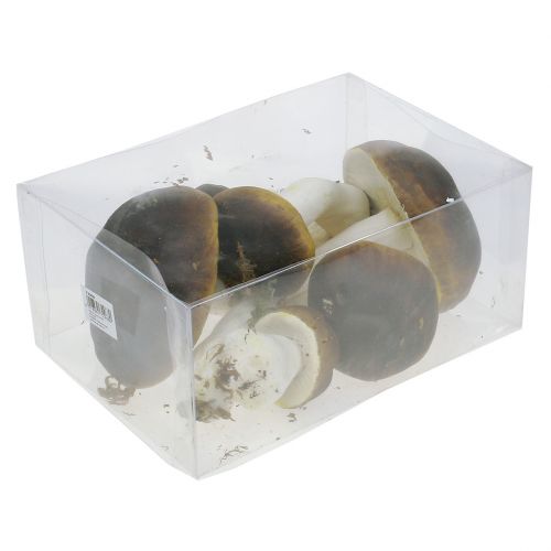 Floristik24 Porcini-svamp brun H8cm - 20cm 6st