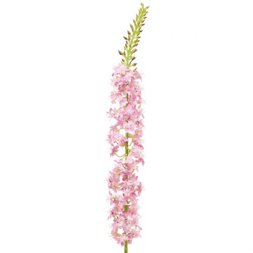 Floristik24 Desert Tail Tap Candle Pink 106cm