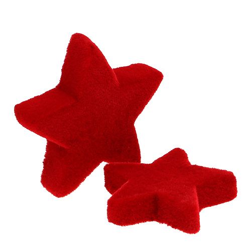 Floristik24 Stjärnmix rödflockad 4-5cm 40st