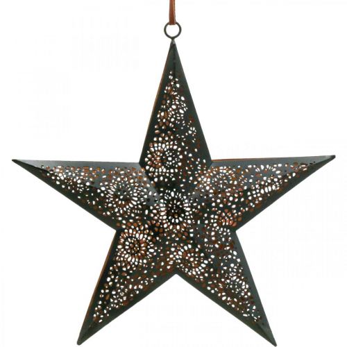 Floristik24 Julhängare stjärna metallstjärna svart H25,5cm
