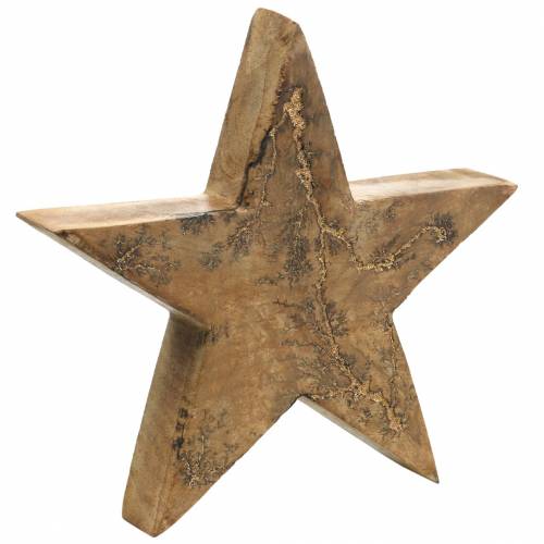 Julstjärna stående mango natur, gyllene 20 × 20 × 3,5 cm