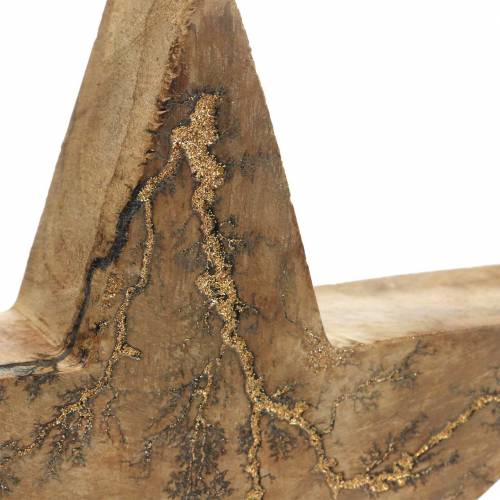 Floristik24 Julstjärna stående mango natur, gyllene 20 × 20 × 3,5 cm