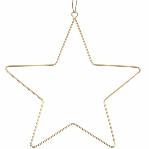 Floristik24 Dekorativ stjärna att hänga gyllene metall Ø50,5cm 2st
