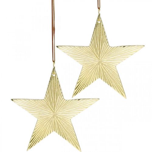 Floristik24 Guldstjärna, adventsdekoration, dekorationshänge till jul 12×13cm 2st