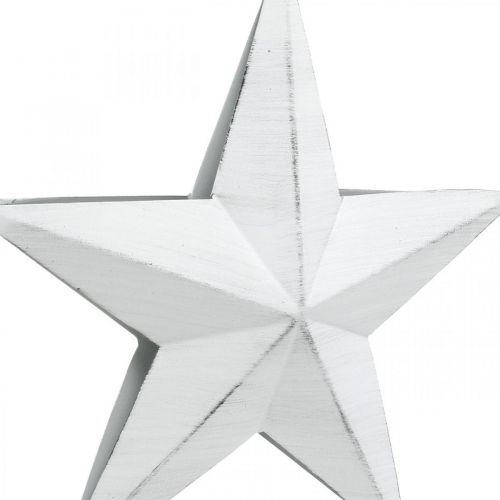 Stjärna att hänga, julgransdekorationer, metalldekoration vit 19,5 × 18,5 cm | Floristik24.se
