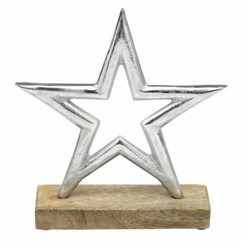 Floristik24 Stjärna för att sätta upp Mango, metall silver 21 × 16,5 cm