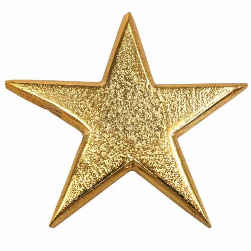 Floristik24 Gyllene metallstjärnor 7,8×7,4cm/6,4×6,2cm 8 st