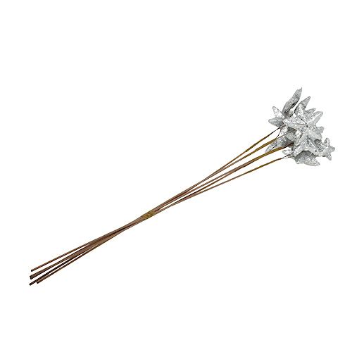 Floristik24 Stjärnor på pinnen silver 60 cm 5st.
