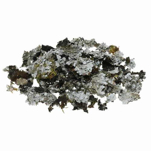 Lav naturlig dekoration med mossgrå 500g
