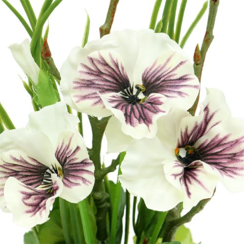 Floristik24 Pensé med mossakula vit 31cm