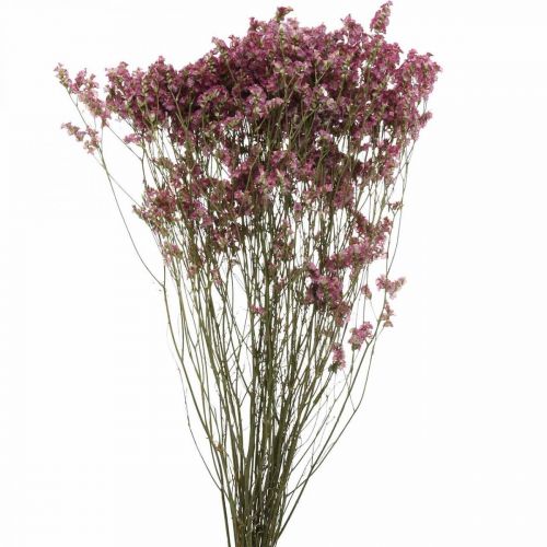 Statice, havslavendel, torkad blomma, vildblommaknippa Rosa L52cm 23g