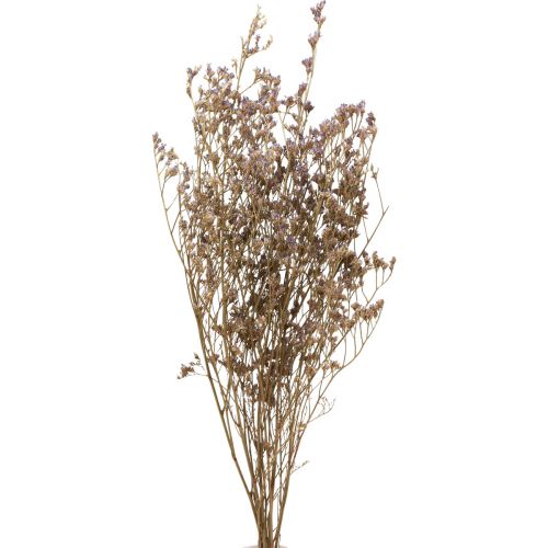 Floristik24 Beach Lilac Limonium Torkade Blommor Lila 70cm 50g