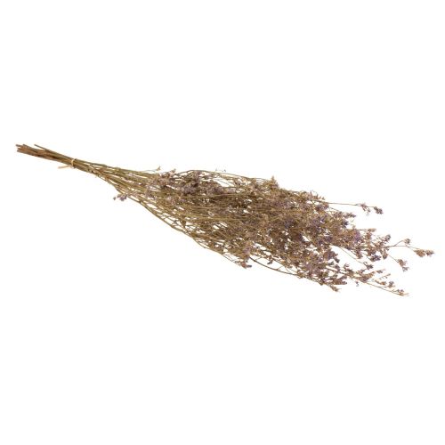 Artikel Beach Lilac Limonium Torkade Blommor Lila 70cm 50g