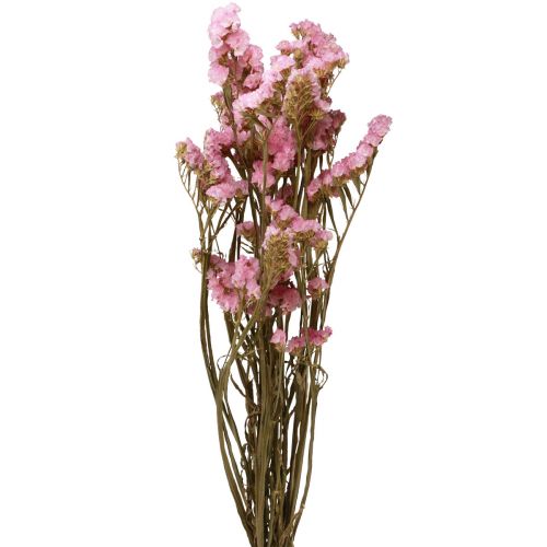 Beach Lilac Rosa Limonium torkade blommor 60cm 50g