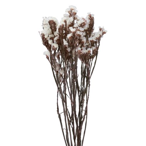 Floristik24 Beach Lilac Vit Limonium Torkade Blommor 60cm 35g