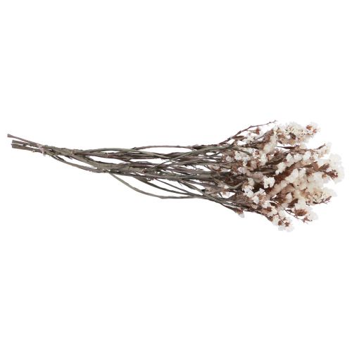 Floristik24 Beach Lilac Vit Limonium Torkade Blommor 60cm 35g