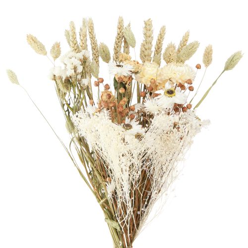 Artikel Bukett torkade blommor halm blommor korn vit 55cm