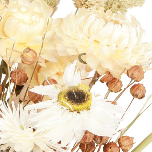 Artikel Bukett torkade blommor halm blommor korn vit 55cm