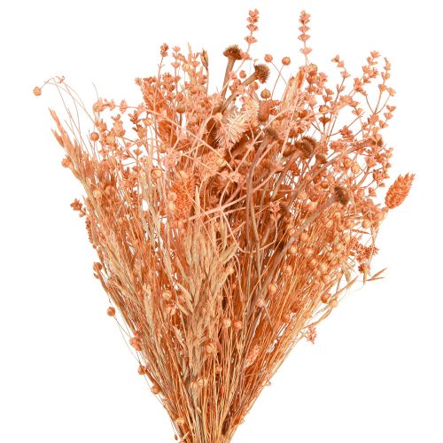 Floristik24 Bukett torkade blommor apelsin aprikos torr bukett 45cm 80g