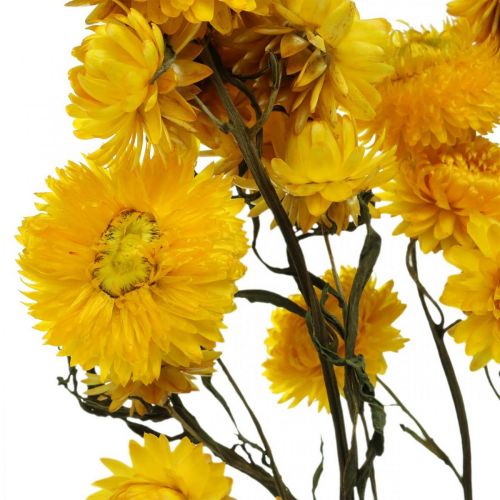 Floristik24 Torkad Blomma Gul Halm Blomma Helichrysum Torrdekorationsgäng 50cm 45g