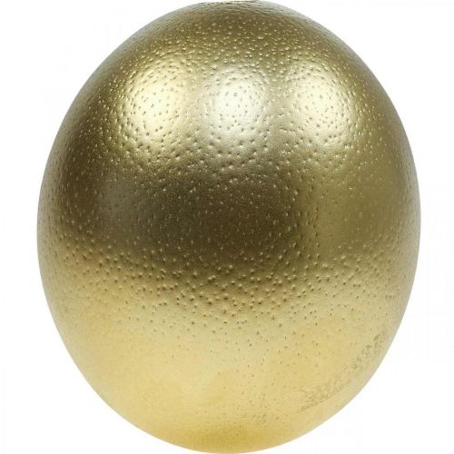 Artikel Strutsäggsdekoration utblåst påskdekoration guld Ø12cm H14cm