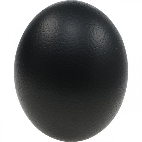 Strutsäggsdekoration Utblåst påskdekoration Svart Ø12cm H14cm