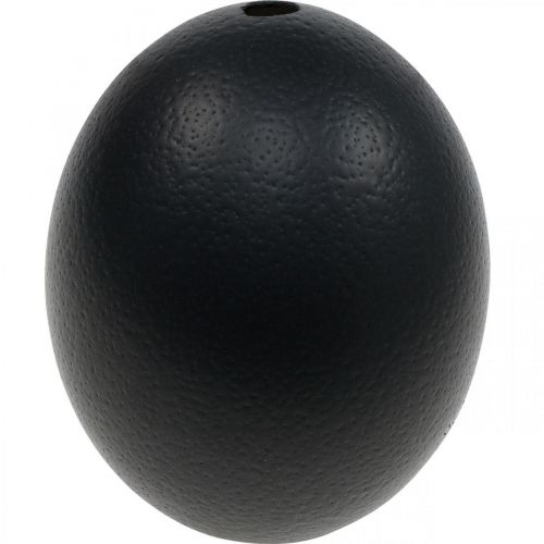 Strutsäggsdekoration utblåst påskdekoration svart Ø12cm H14cm
