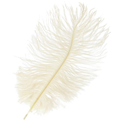 Artikel Utsökt krämvit dekorativ fjäder strutsfjäder vit 20-25cm 12 st.