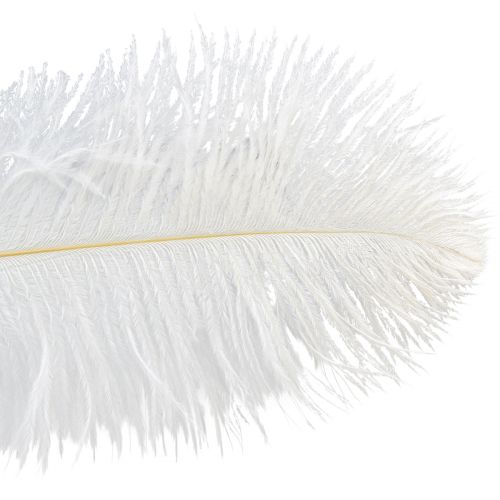 Artikel Strutsfjädrar Exotisk dekoration Vita fjädrar 32-35cm 4 st