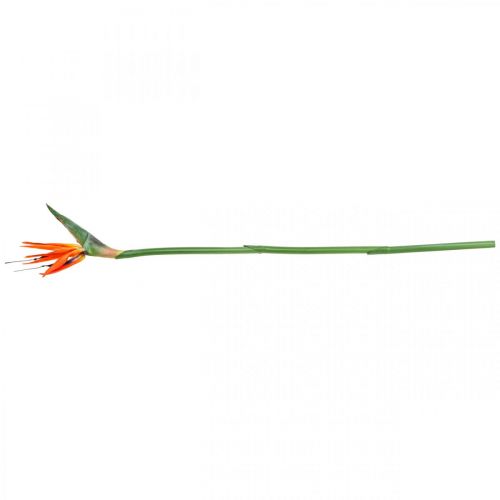 Floristik24 Strelizie reginae konstgjord blomma orange paradisfågel L85cm