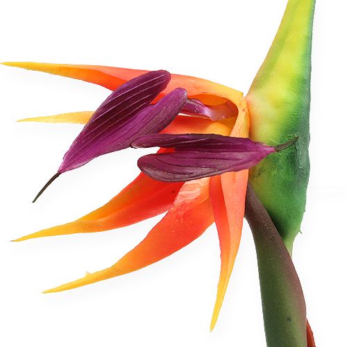 Artikel Strelitzia paradisfågel blomma 62cm
