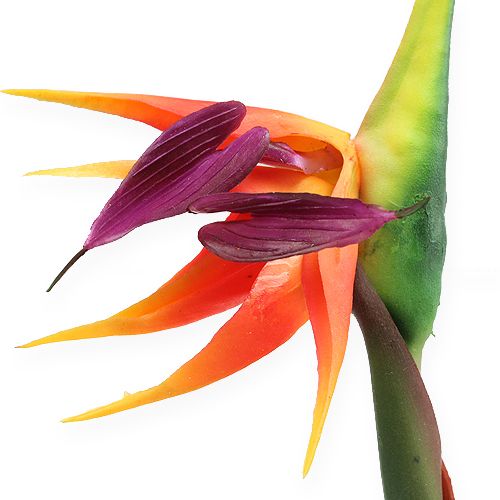 Floristik24 Strelitzia paradisfågel blomma 62cm