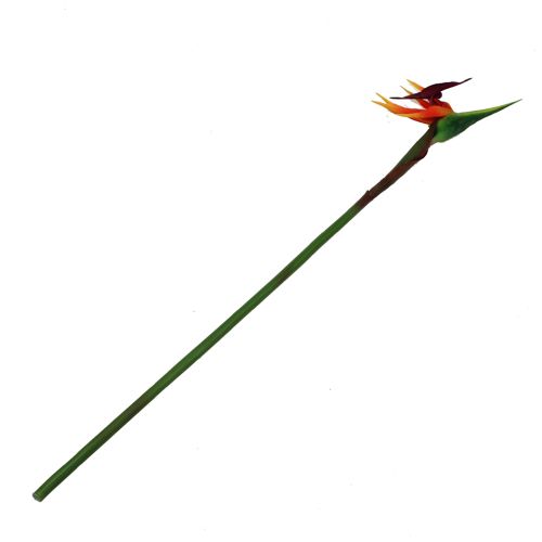 Floristik24 Strelitzia paradisfågel blomma 62cm
