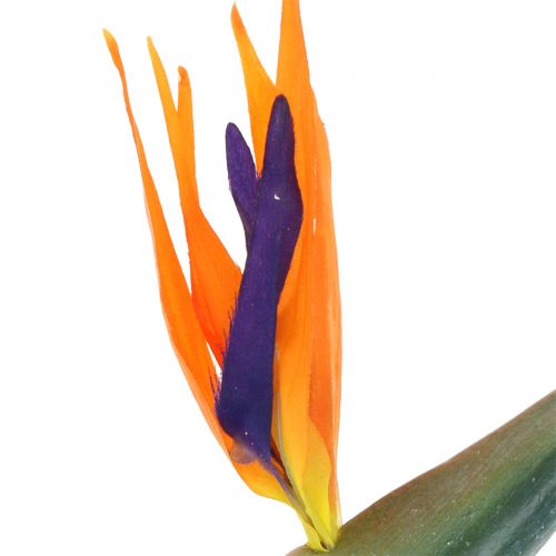 Floristik24 Strelitzia Bird of Paradise Artificial 98cm