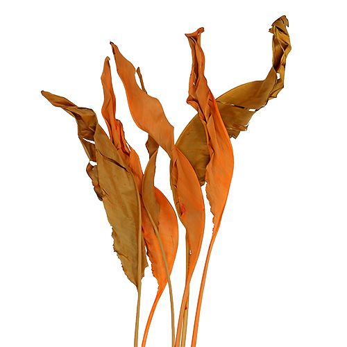 Strelitzia lämnar orange 120 cm 20st