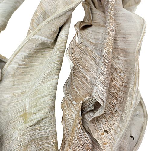 Artikel Dekorativa löv Strelitzia löv tvättade vita 120cm 10st